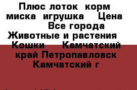 Плюс лоток, корм, миска, игрушка. › Цена ­ 50 - Все города Животные и растения » Кошки   . Камчатский край,Петропавловск-Камчатский г.